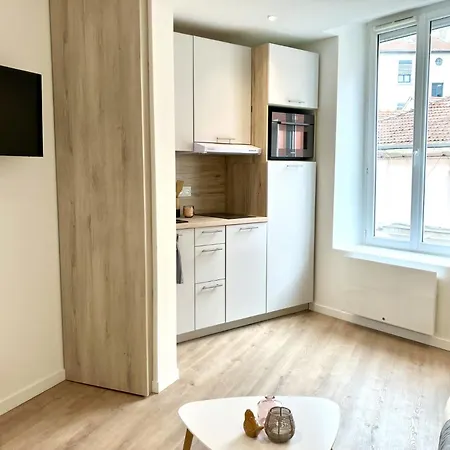 Apartamento Studio N3 2 Pers A 300m Du Metro B, 25mn Eurexpo Oullins
