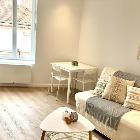 Apartamento Studio N3 2 Pers A 300m Du Metro B, 25mn Eurexpo *